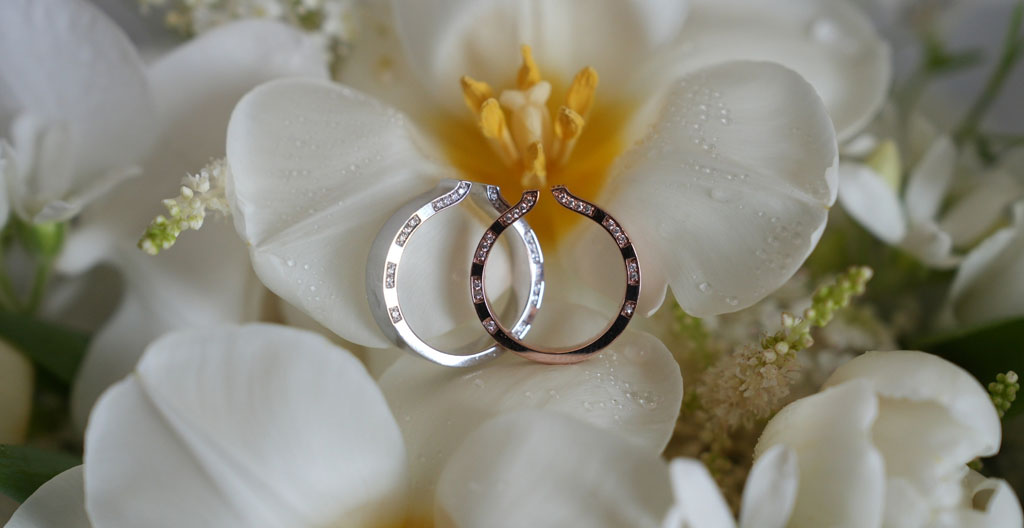 alliance pas cher.jpg